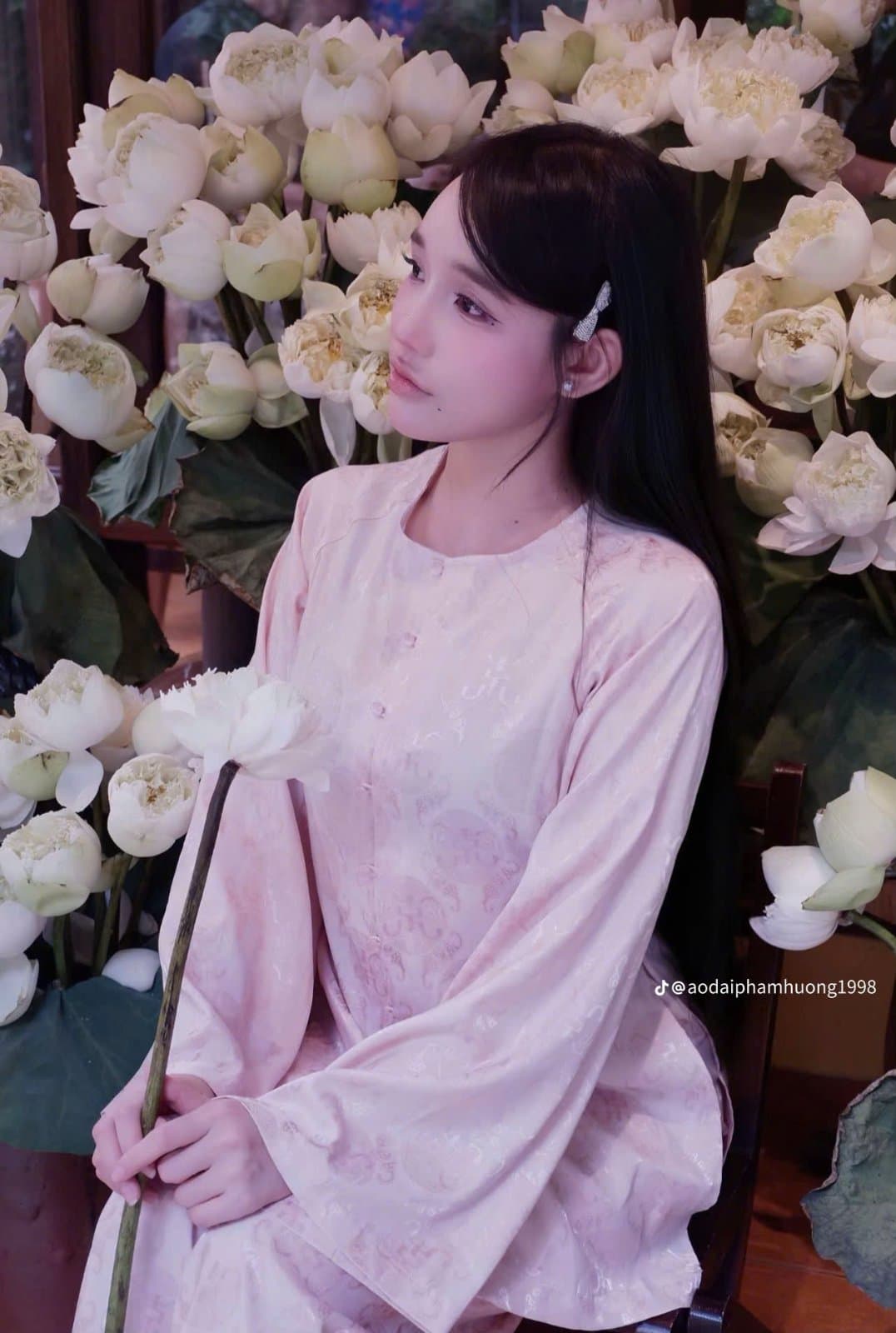 PP47 Xuân Lan hồng M